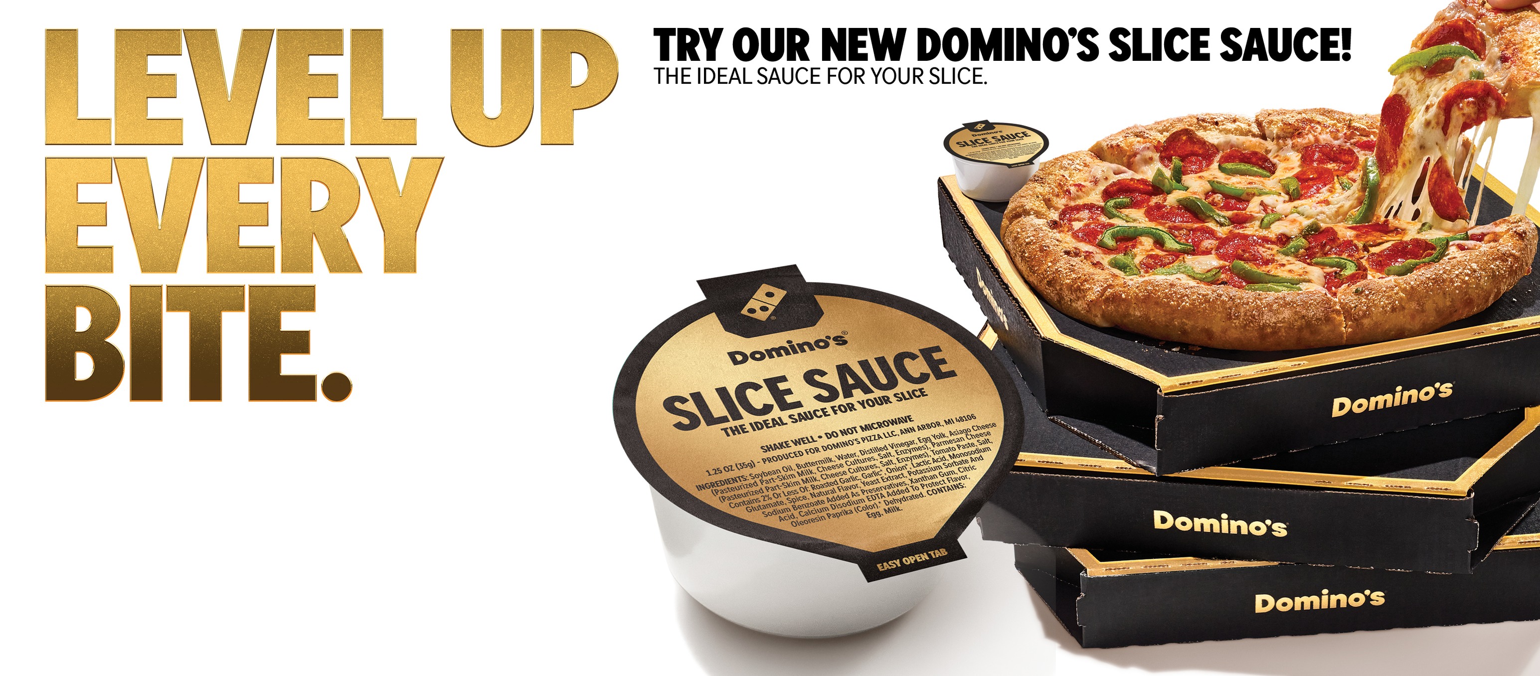 Domino's Pizza Lombard & Villa Park | Lombard IL