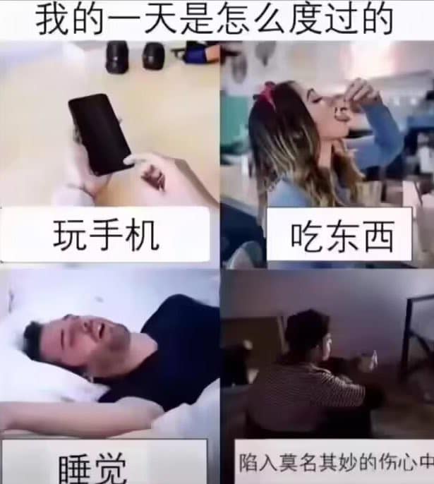 免費迷因 | Free Memes | 這我每天的生活