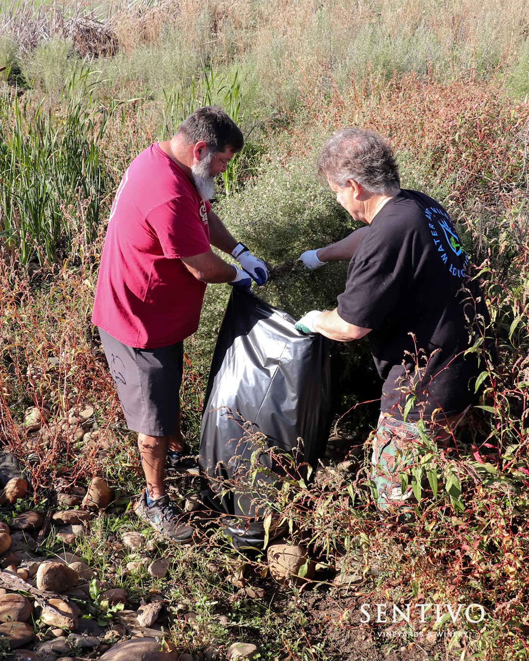 Sacramento County Regional Parks - Tomorrow is #WorldWetlandsDay! Did ...