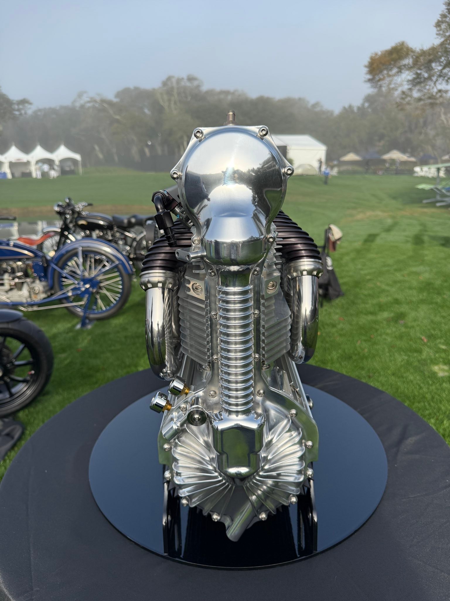 On display Amelia Island Concurs : This is the engine of the