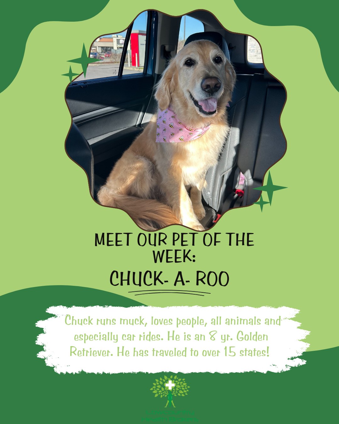 Meet Chuck — also known as... - Lowcountry Health Brokers | Facebook