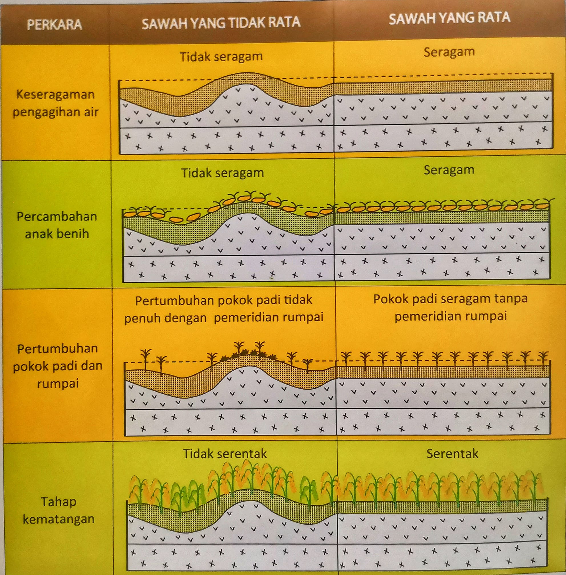 Gambarajah ini merupakan kaedah mudah... - Rice Smart Wheel | Facebook