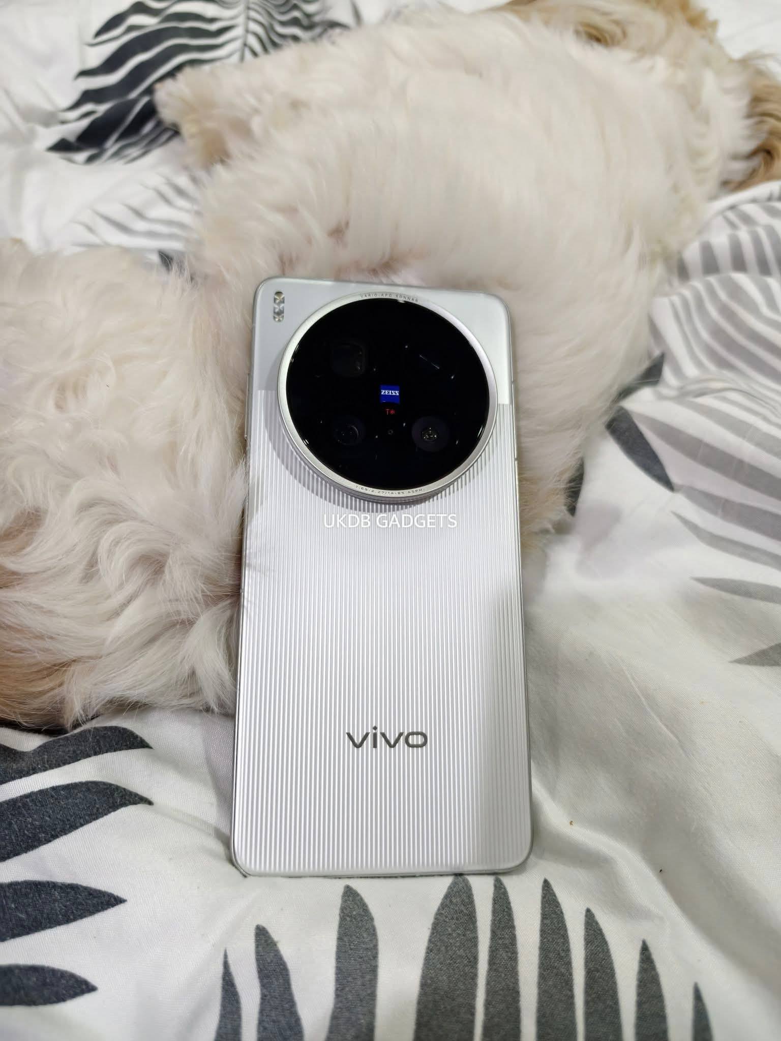 Vivo X200 Ultra 12GB/256GB White PHP 41,500 Pampanga