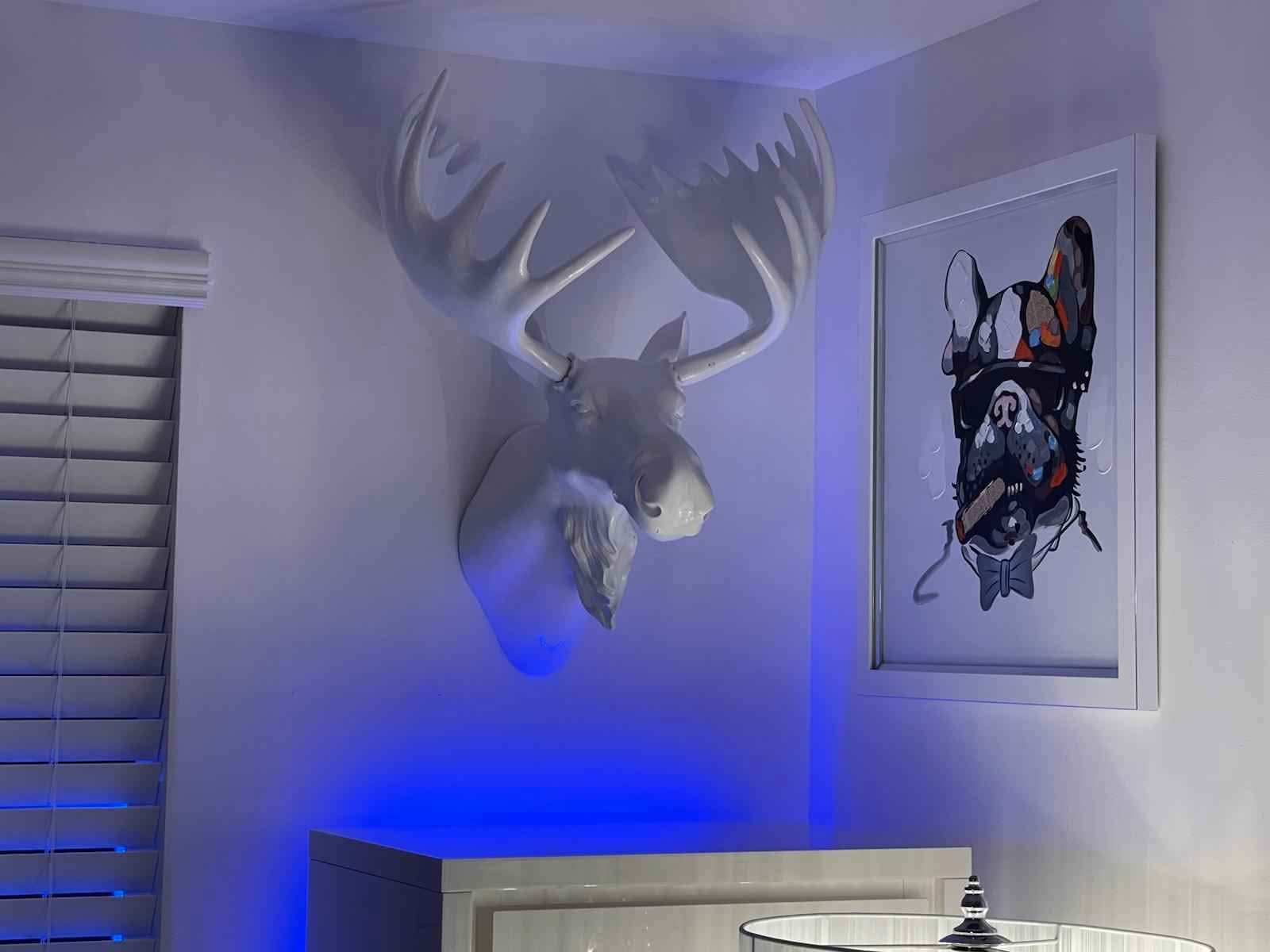 Modani el dorado z gallerie furniture - Mirrors - Miami, Florida ...