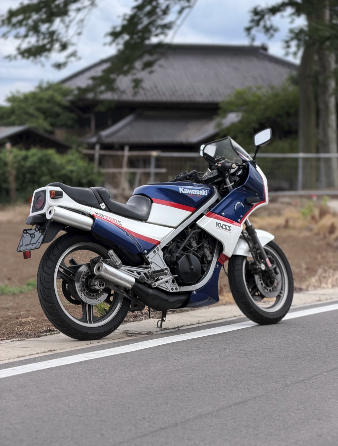 1985 Kawasaki KR250S 2-stroke sport bike for sale