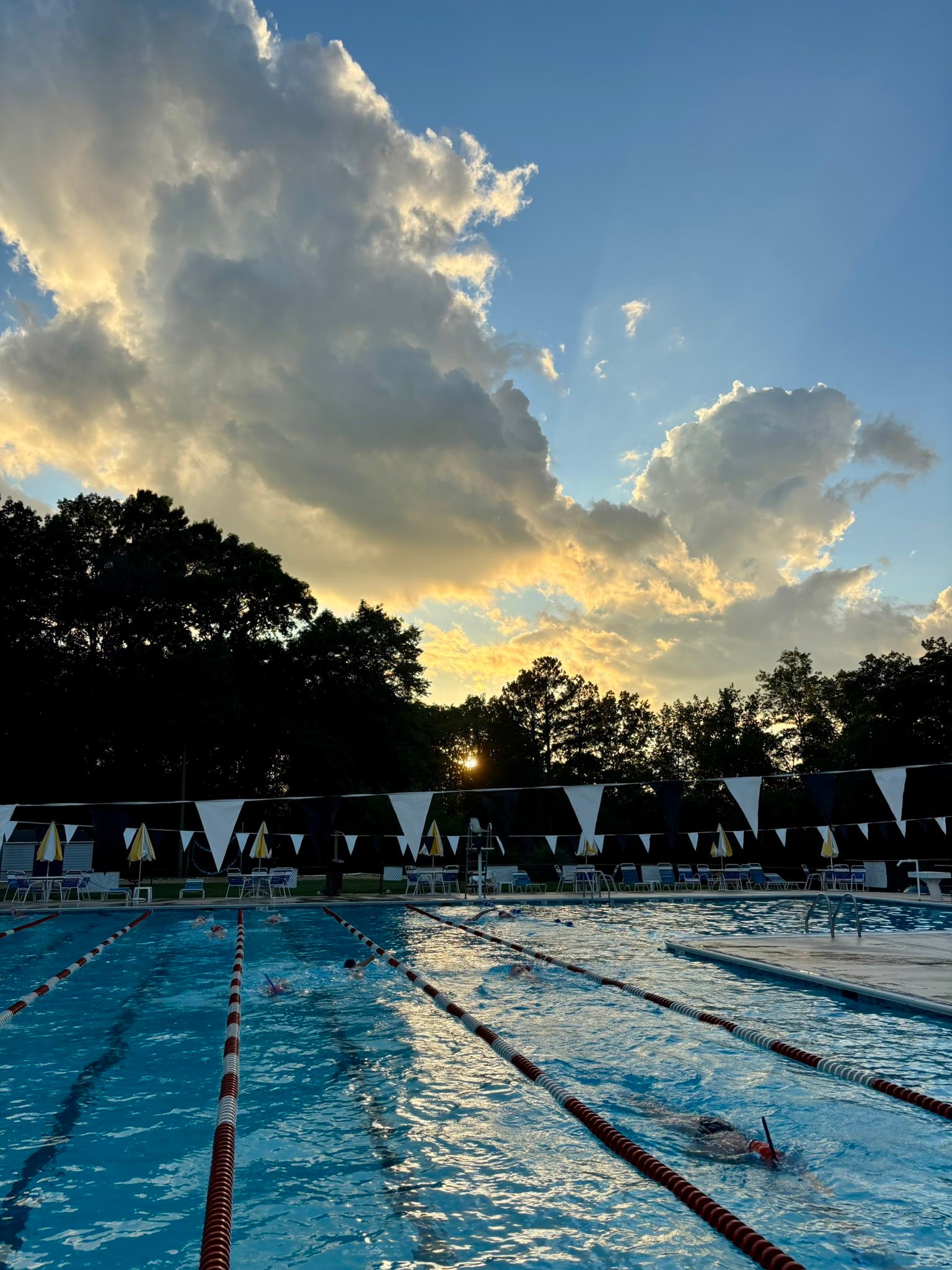 Lake Ridge Community Swim Club | Woodbridge VA