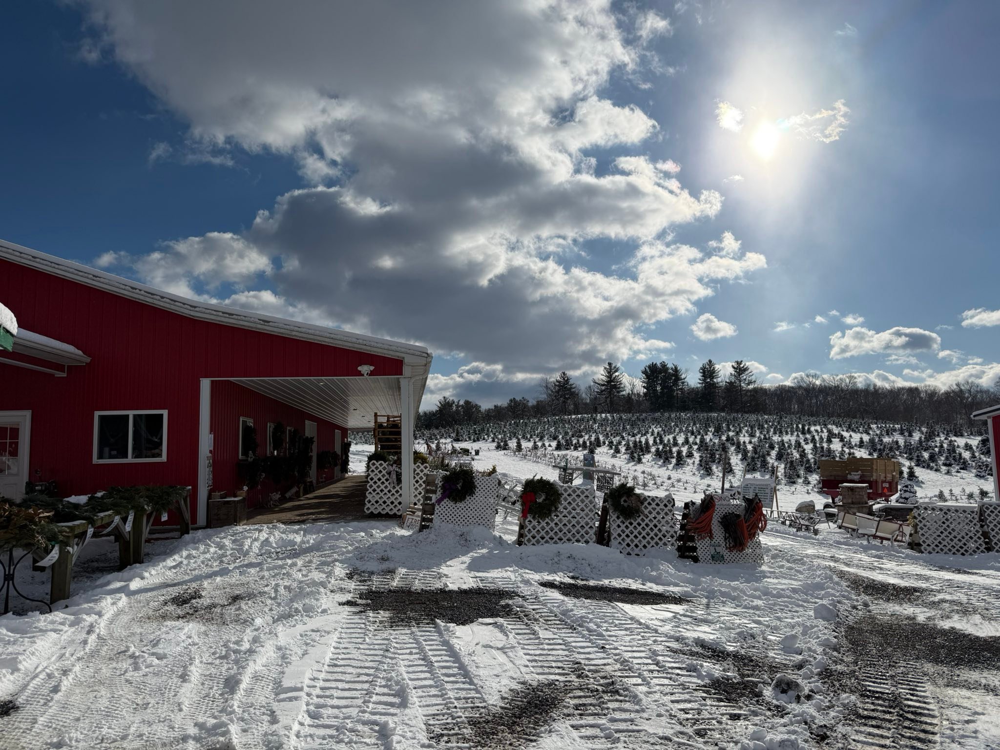 Davidson Christmas Tree Farm | Upperco MD