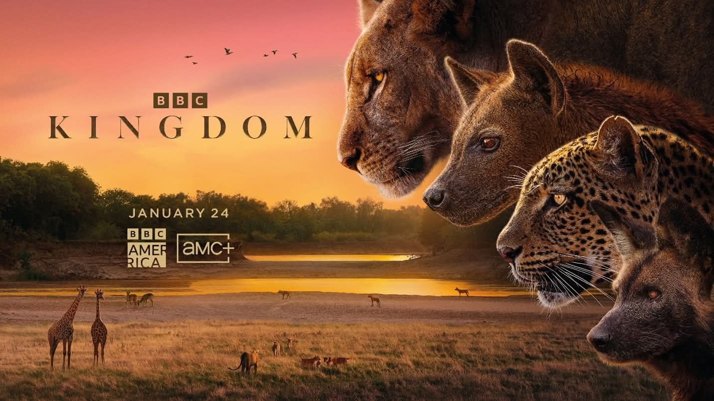 Are you ready USA?... - Ntanda Ventures - Safaris in Zambia | Facebook