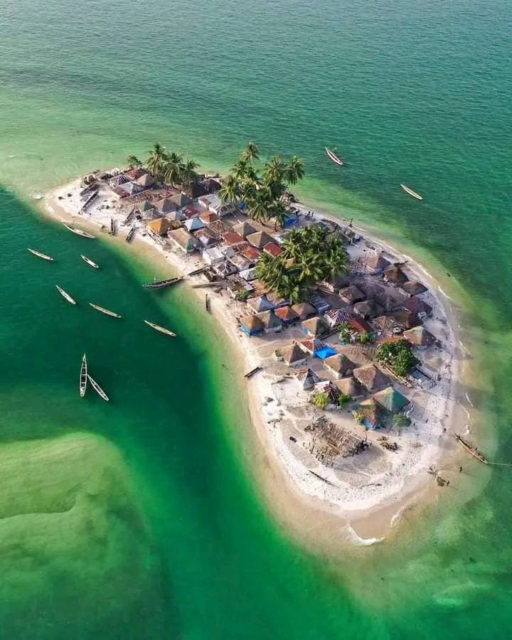 🏝️ Turtle Island, Sierra... - Outback Africa - Tour Operator