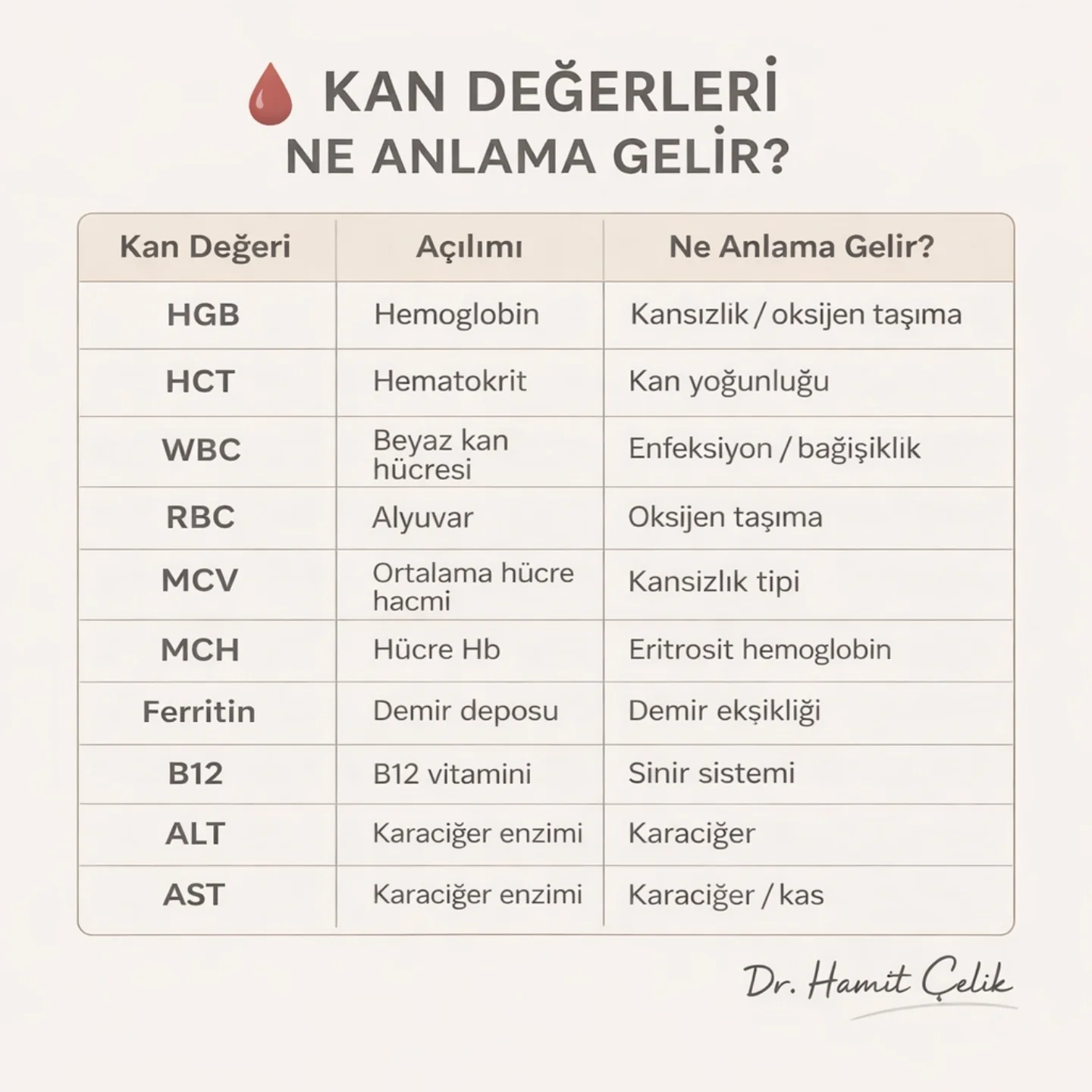 DFH Kısaltmasının Kanıtlanmış Anlamları ve 2026 Güncel Rehberi - Kapak Görseli