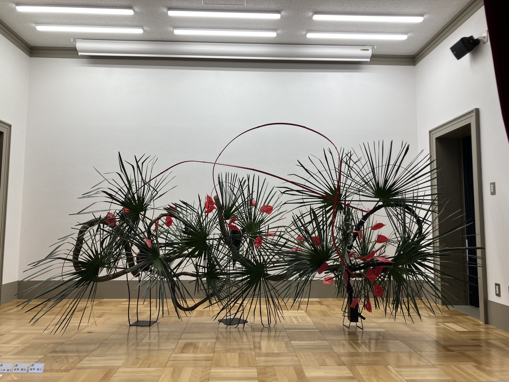 いけばな草月流 Ikebana - 【第8回いけるちゃん賞最優秀賞】 名前