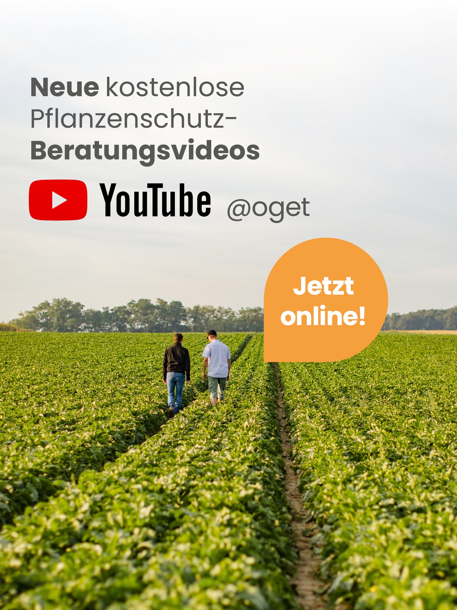 Schaumbildung,... - OGET - Der Pflanzenschutz-Experte | Facebook