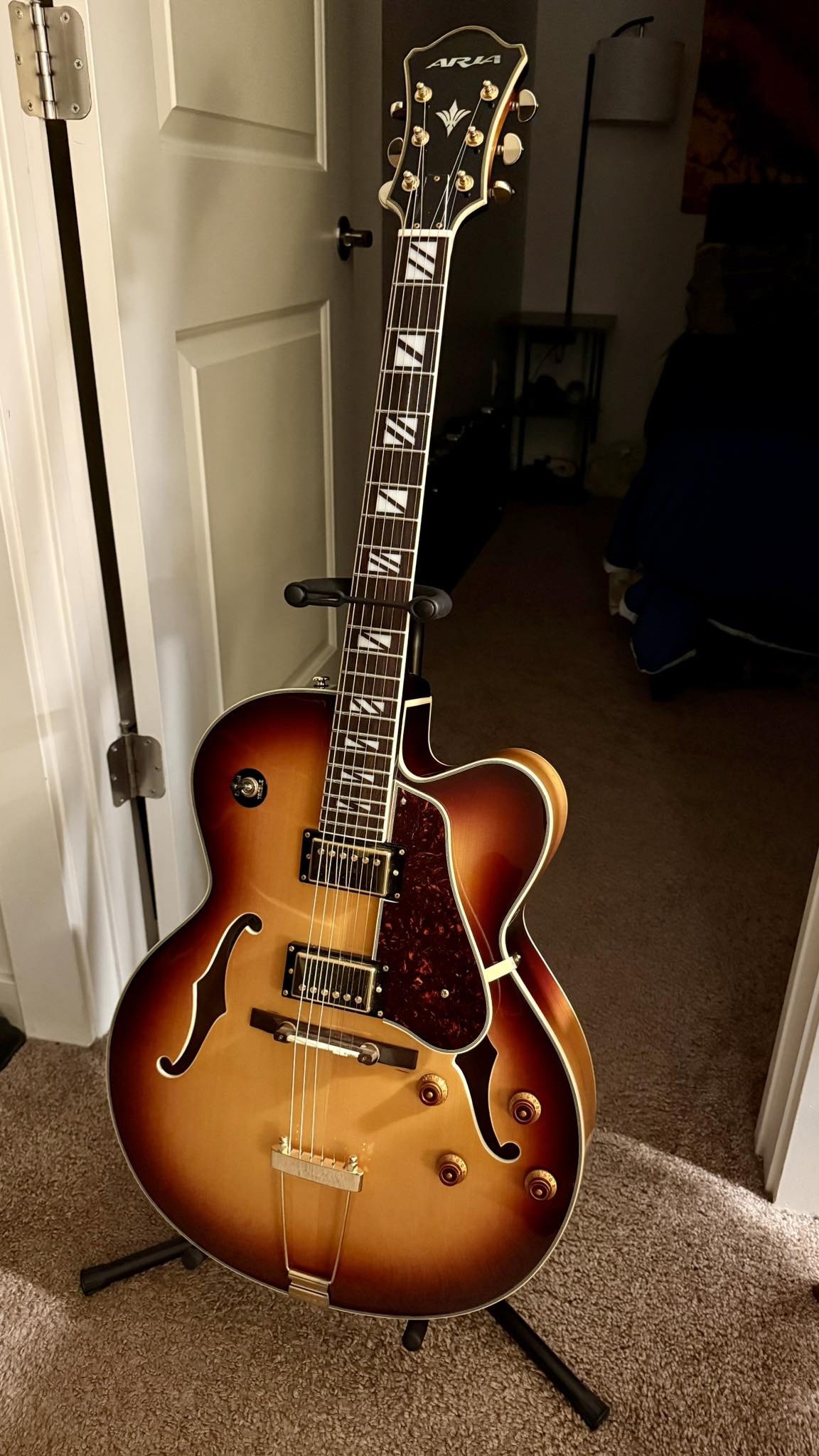 Aria Elecord - Folk Electric FE-70 Sounds great plugged in or