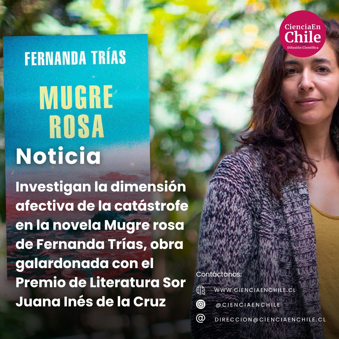 Ciencia - Noticia📔www.cienciaenchile.cl 📚🔥 Investigan la dimensión ...