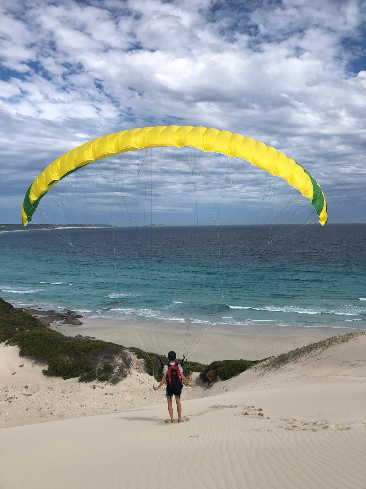 FEEDBACK PHI SONATA 16 (19 m2 Flat) Mini Wing in Yellow / Green 