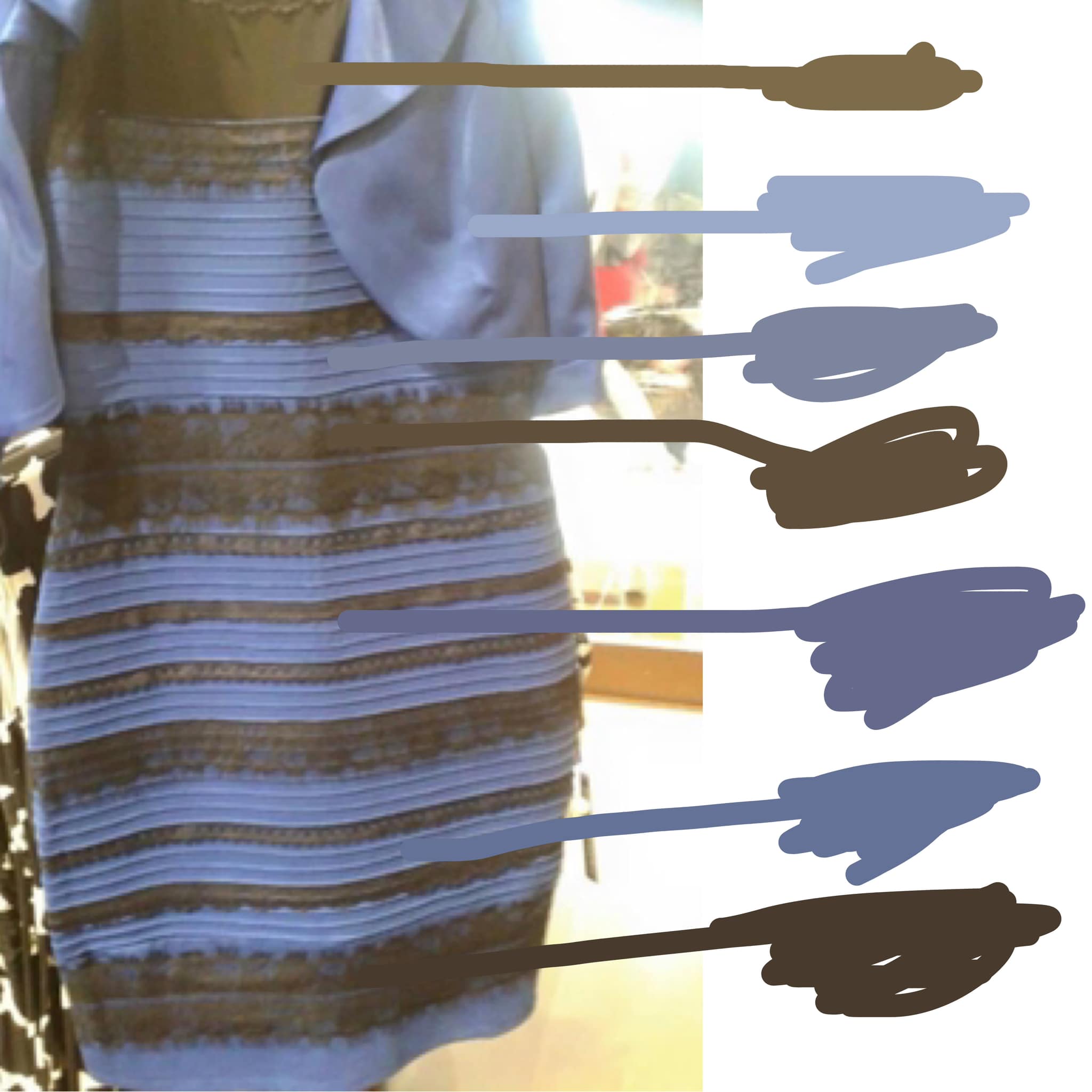 Everyone knows it's black and blue #thedress #settlethisdebate #opticalillusion