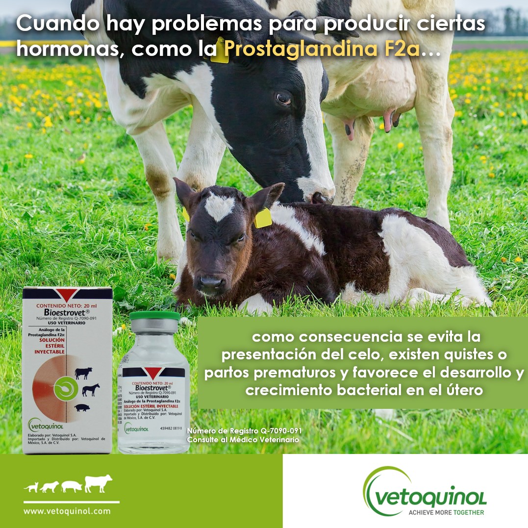 Las hormonas son reguladores químicos... - Vetoquinol México | Facebook