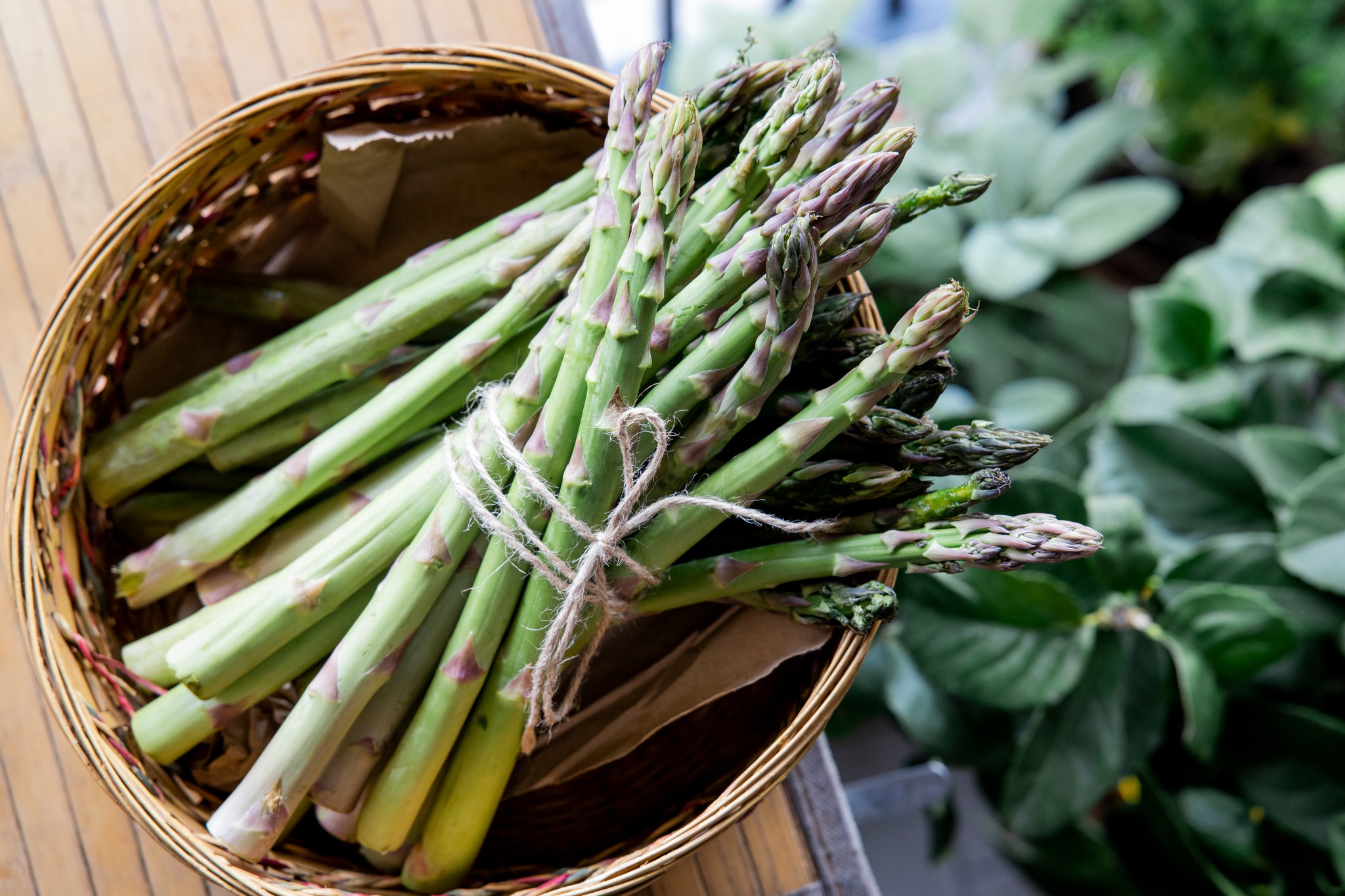 asparagus high in glutathione We're spearing the facts on asparagus! is a rich source for antioxidants – and it's jam-packed with vitamins to help strengthen your immune system. #NationalNutritionMonth Is BPC 157 natty? Pack Size:30 Patches peptide combo