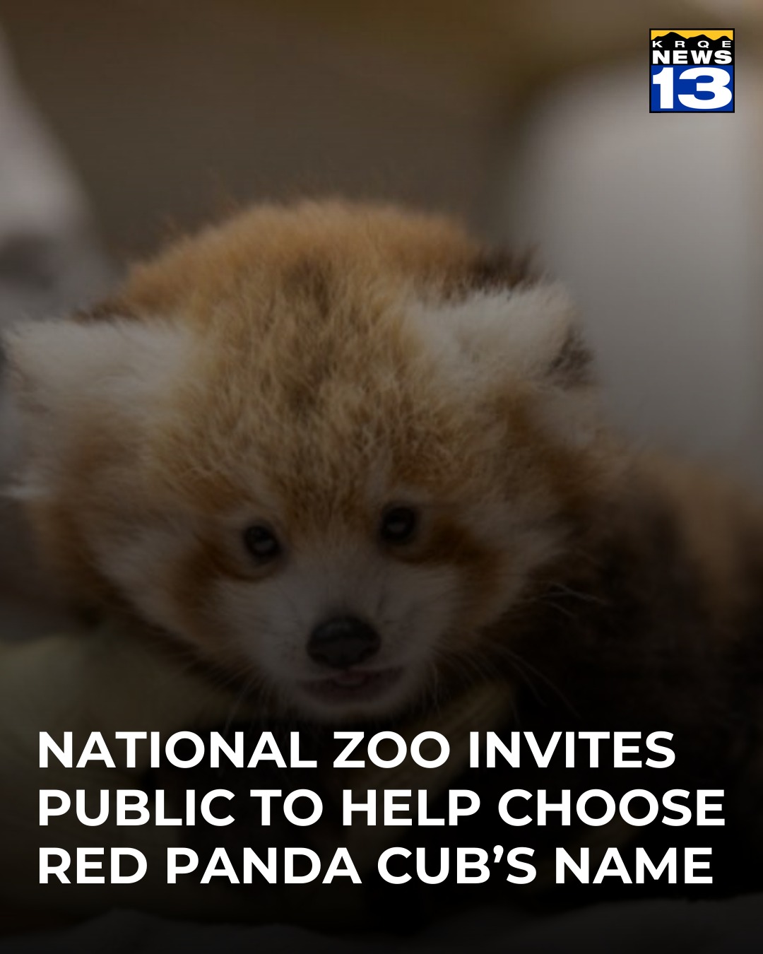 The Smithsonian National Zoo and Conservation Biology Institute is