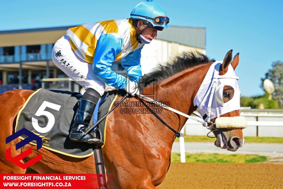 Gavin Smith Racing Stables... - Gavin Smith Racing Stables