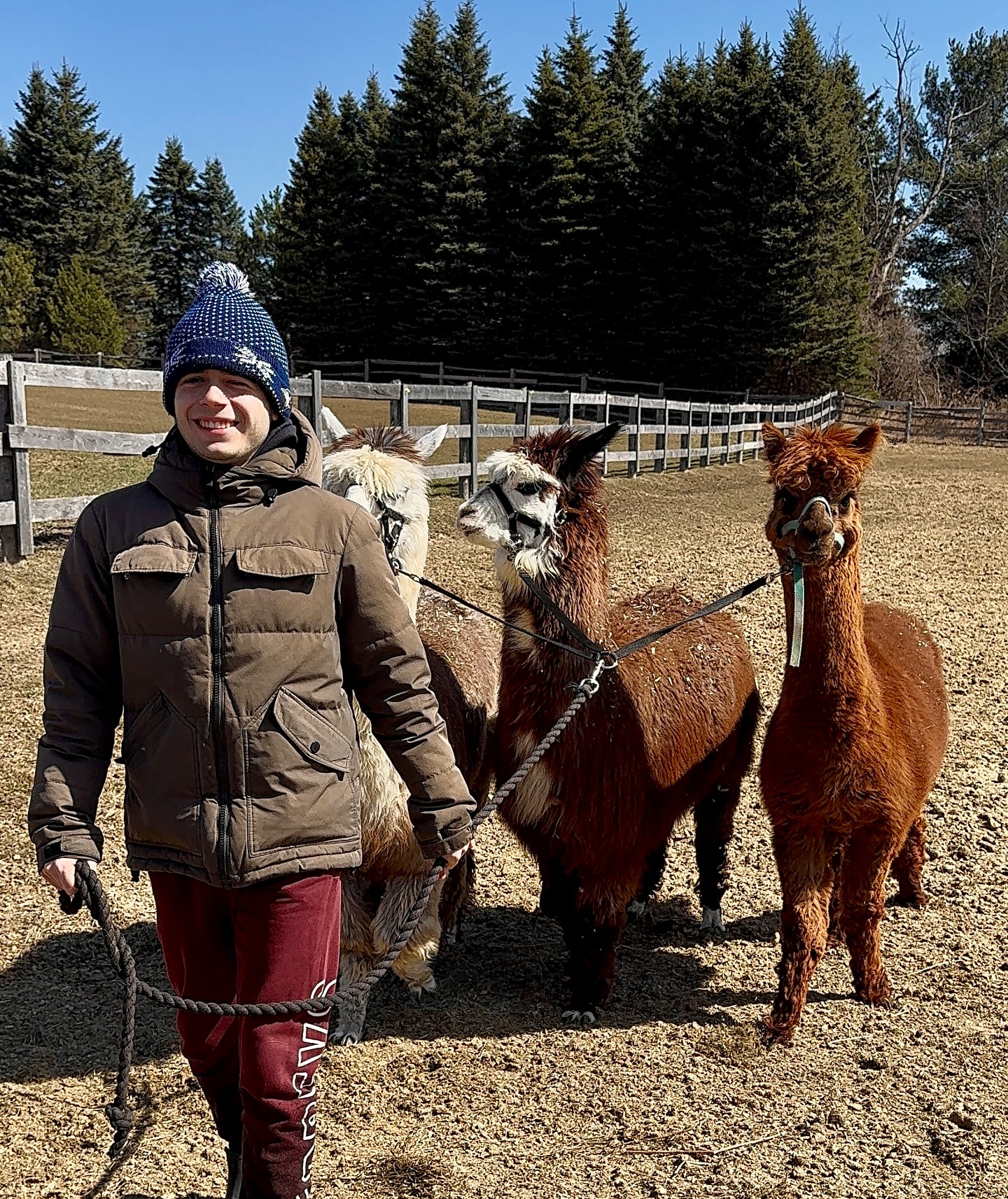 The Crystal Ladder Ranch | Newmarket ON