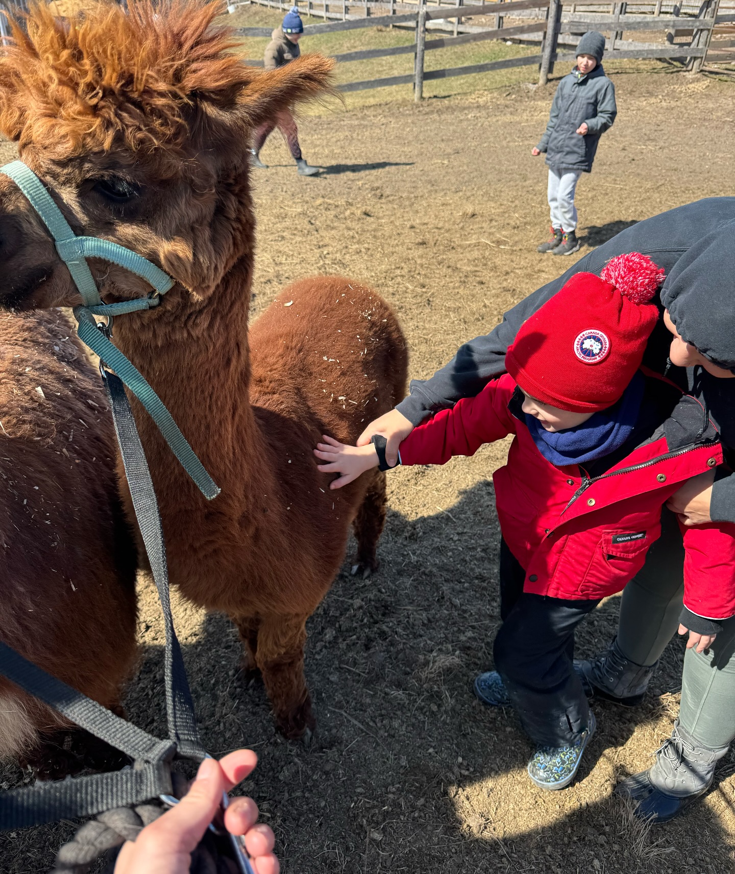 The Crystal Ladder Ranch | Newmarket ON