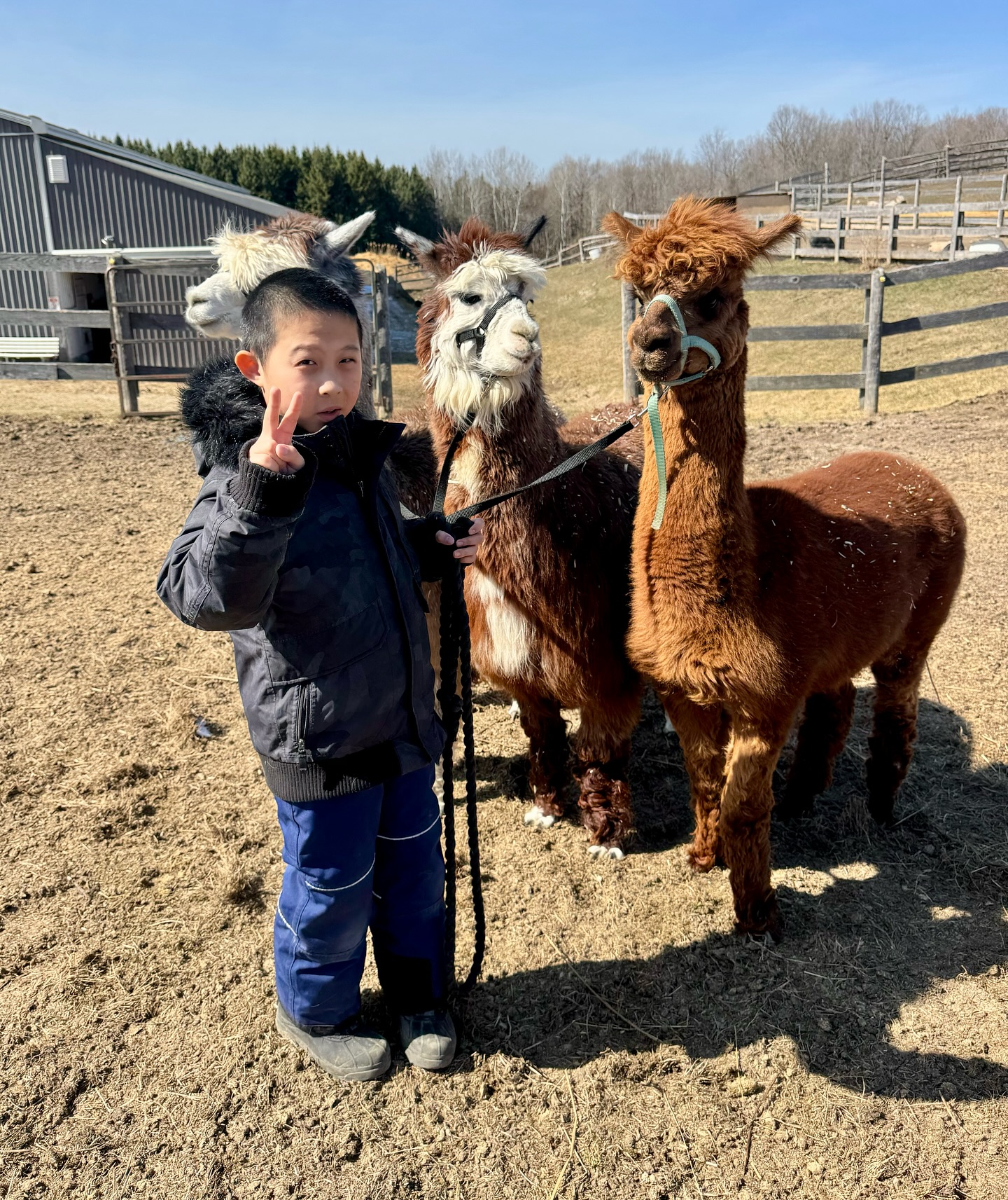 The Crystal Ladder Ranch | Newmarket ON