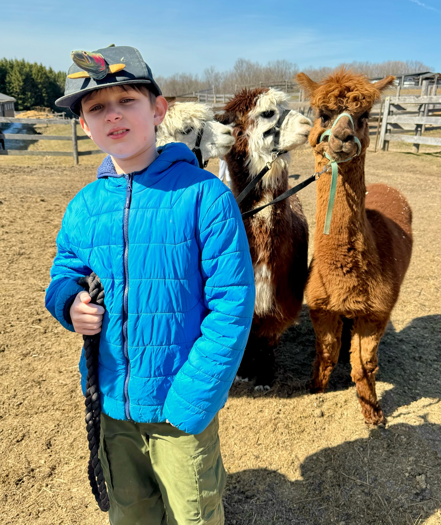 The Crystal Ladder Ranch | Newmarket ON