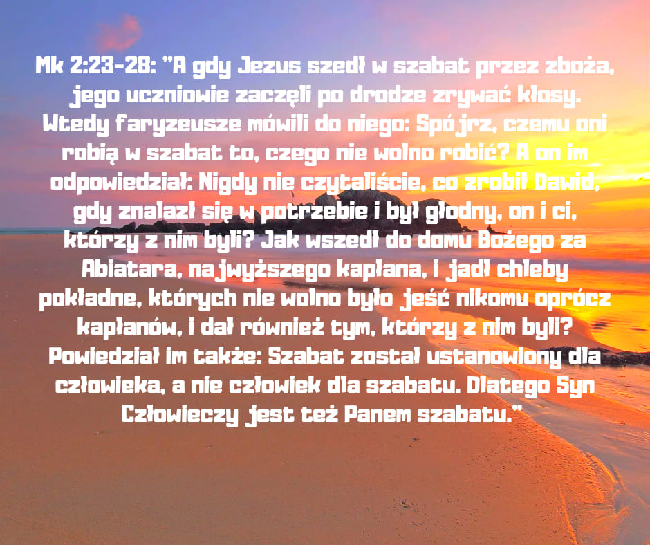 Mk 2:23-28: 