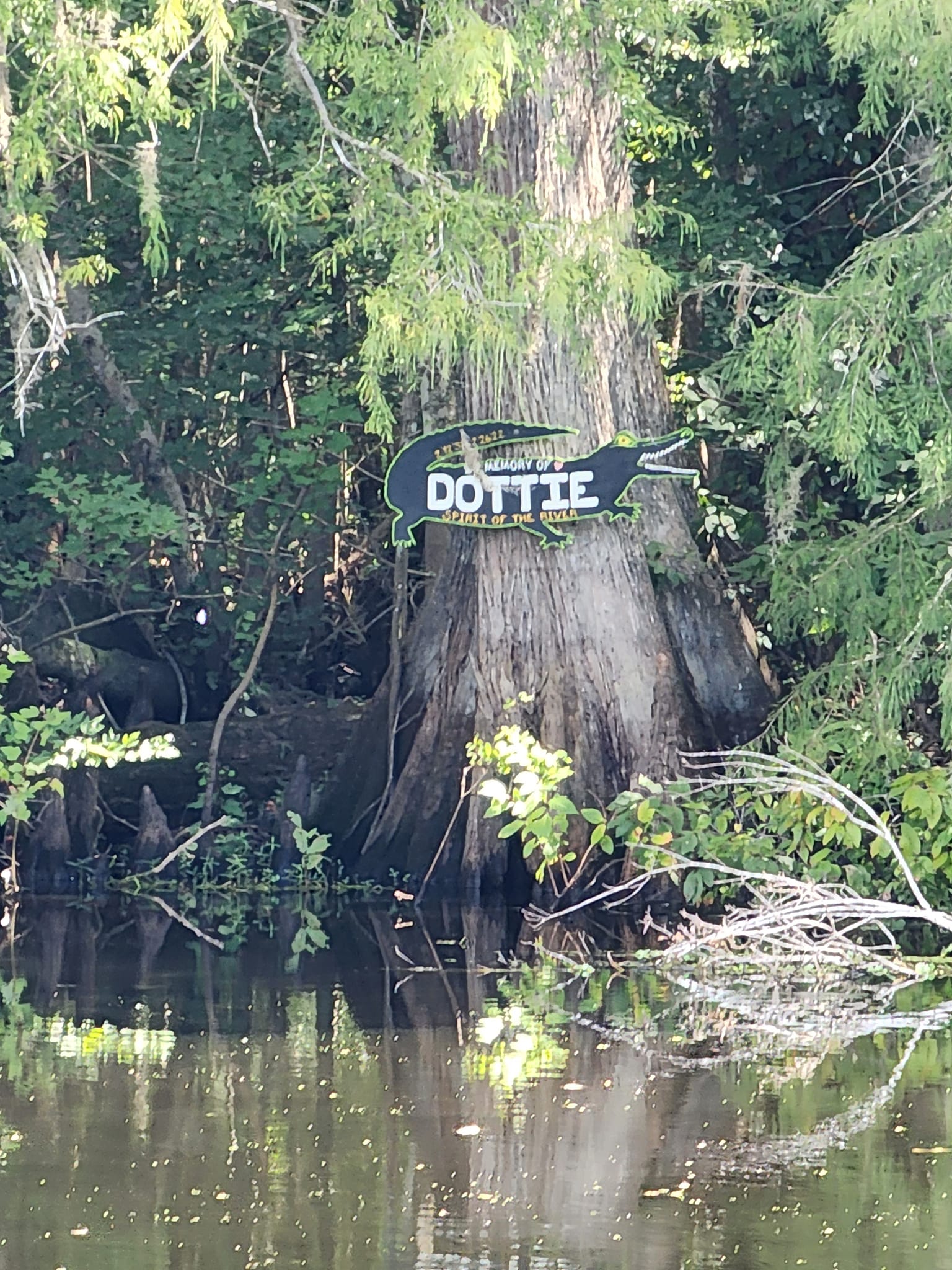 Turner Camp Boat Ramp Memories and Experiences