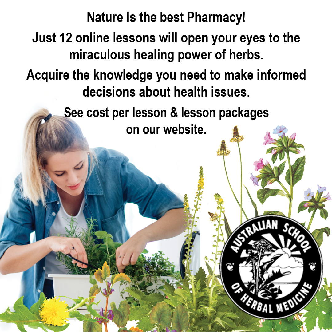 Visit our website... - Australian School of Herbal Medicine