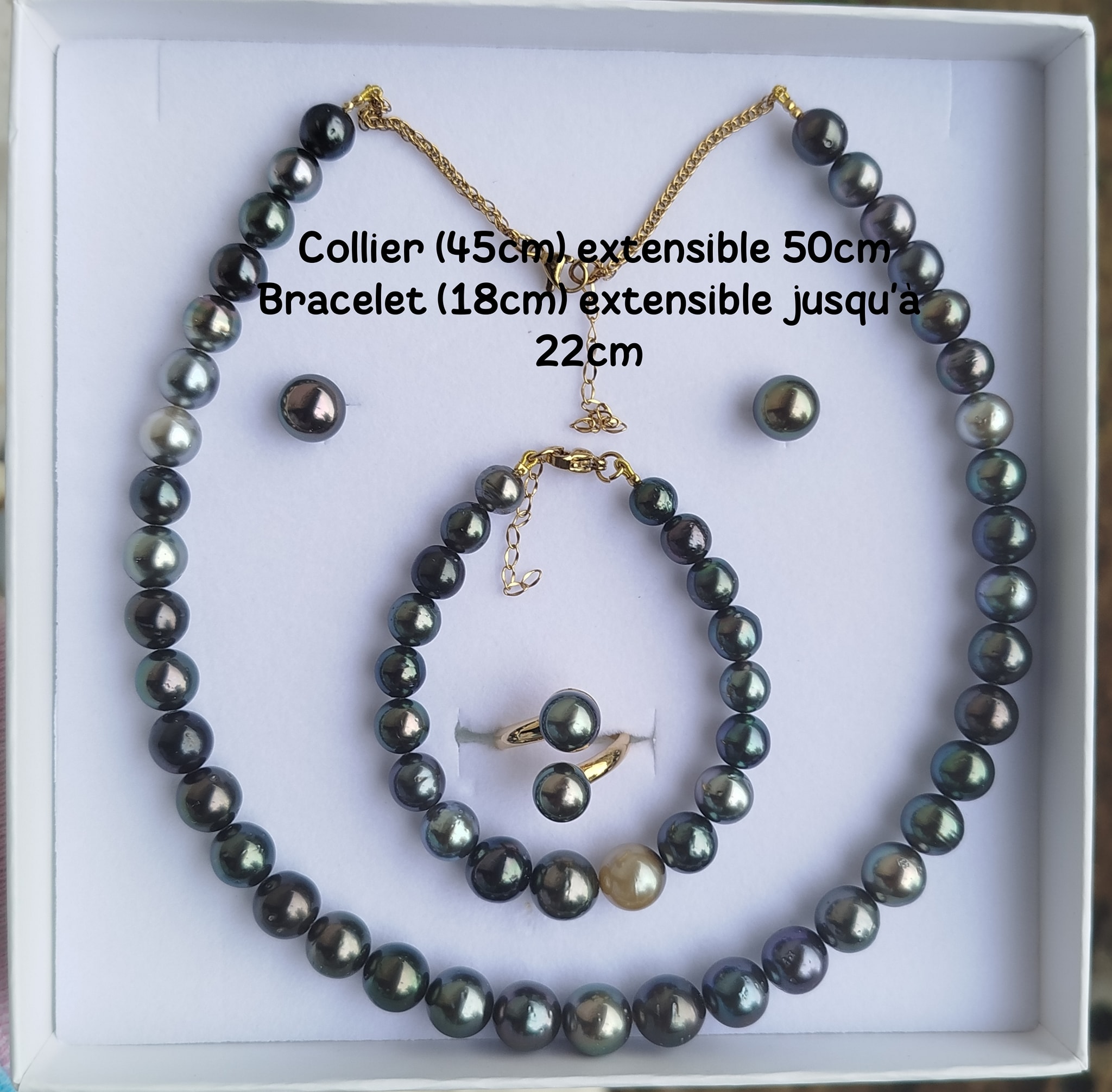 Parure De Bijoux Panthère Argentée Avec Strass - Collier, Bracelet, Boucles D'oreilles