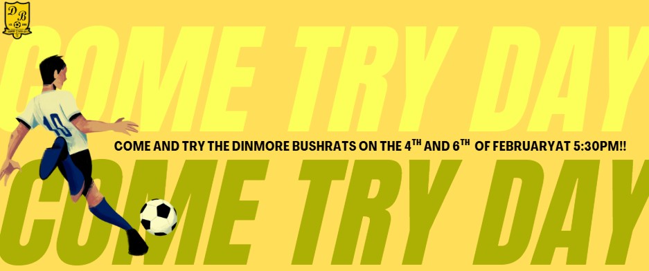 Dinmore Bush Rats Soccer Club | Riverview QLD