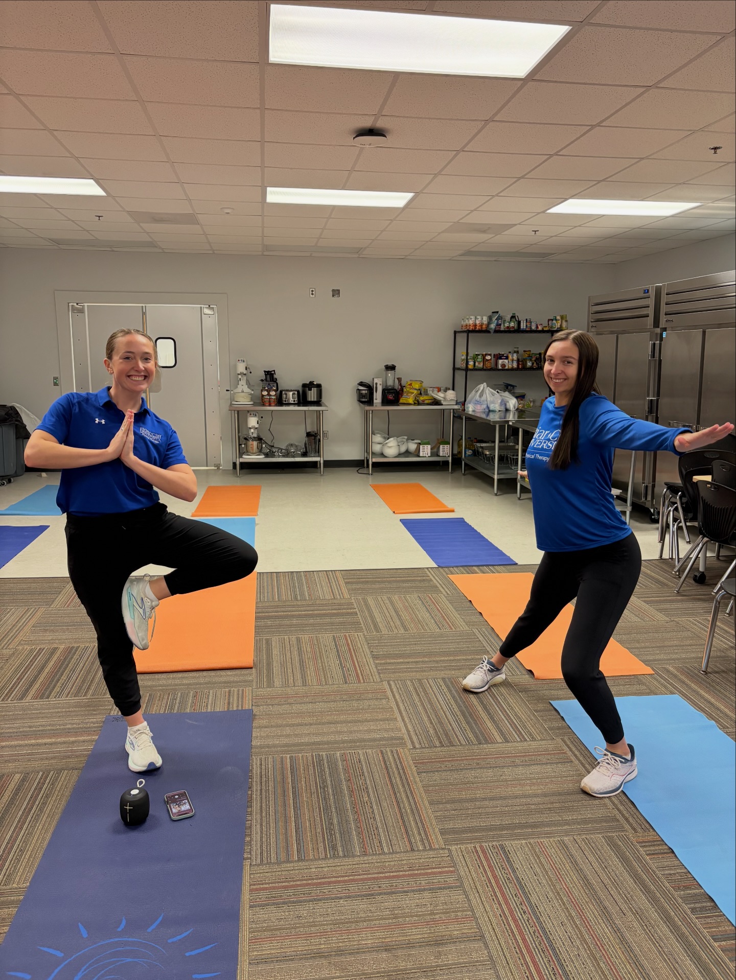 Briar Cliff University Doctor of Physical Therapy Program | Sioux City IA