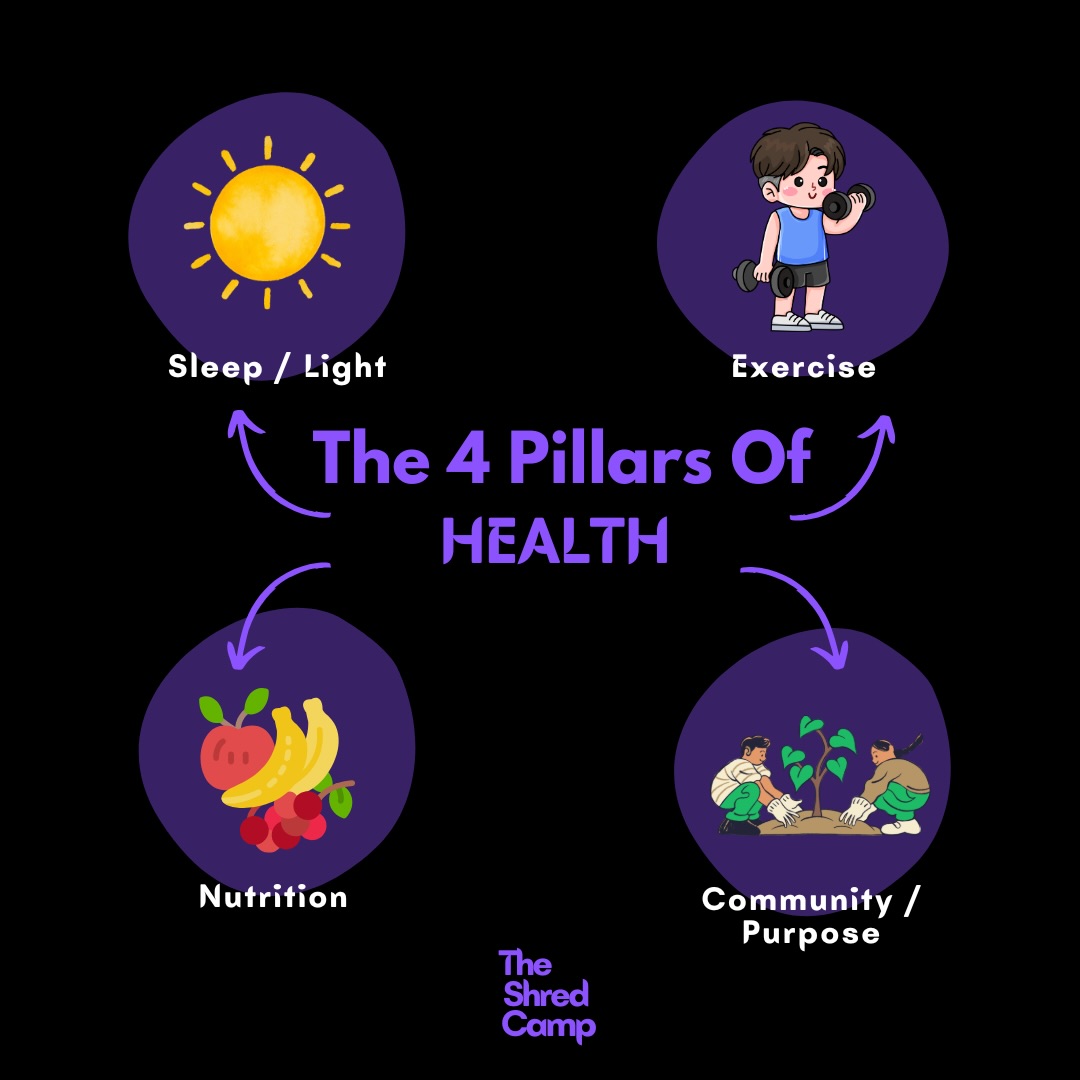 The Shred - The 4 Pillars of Health There are lots of little levers to ...