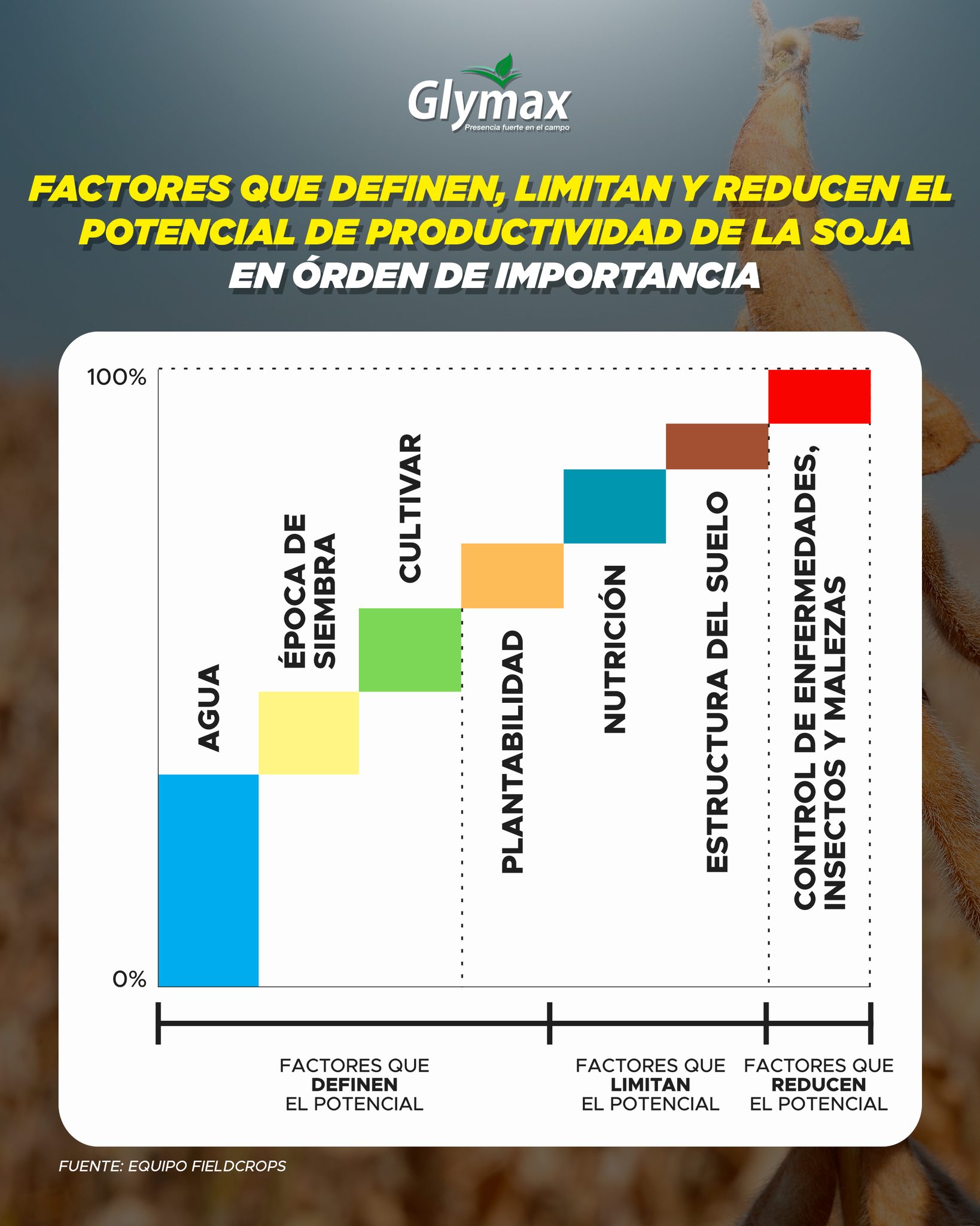 Glymax - 📊 ¿Qué define el potencial de rendimiento de la soja? Conocé ...