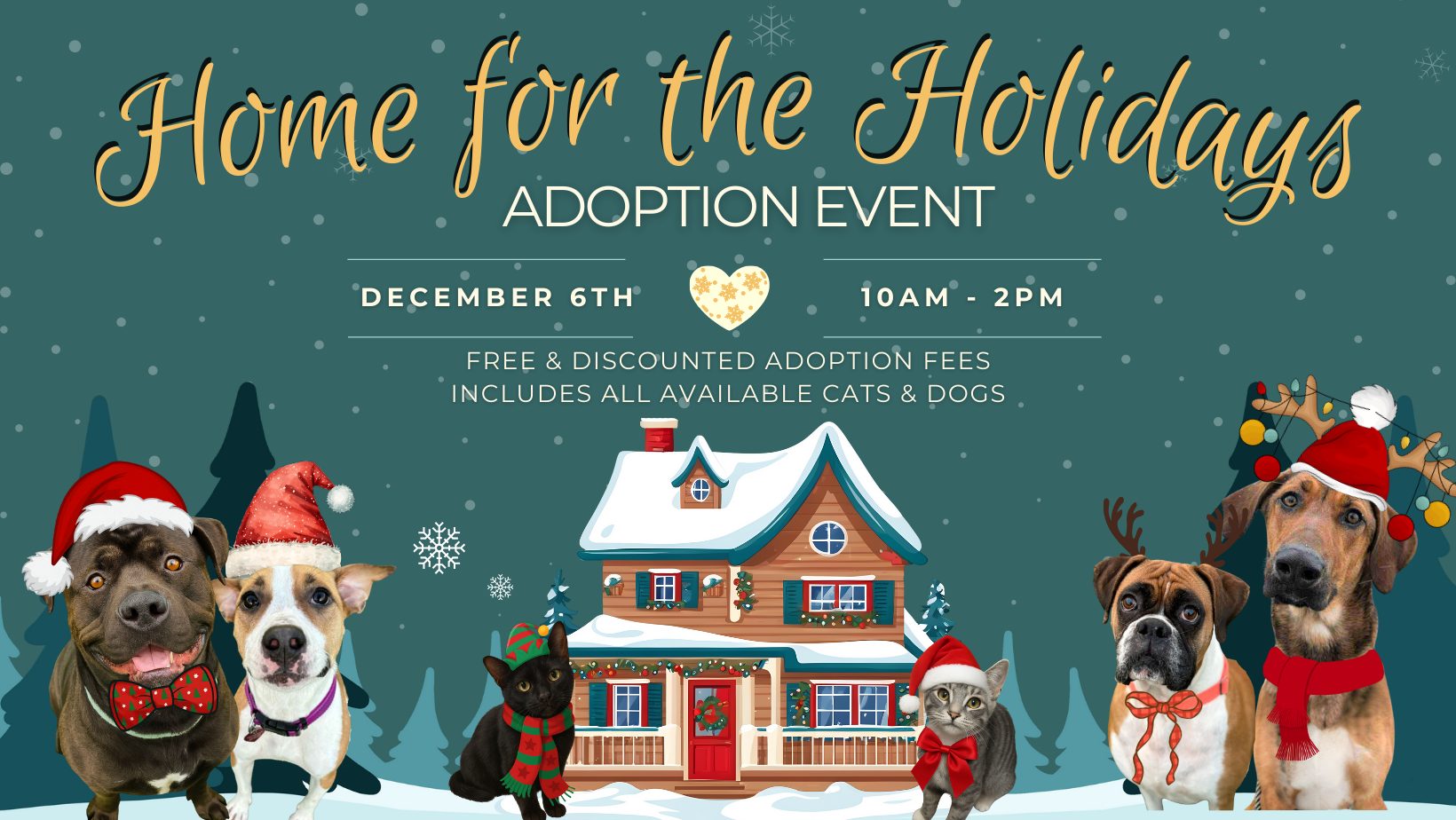 Home for the Holidays Adoption Event - I Heart Dogs Rescue and Animal Haven