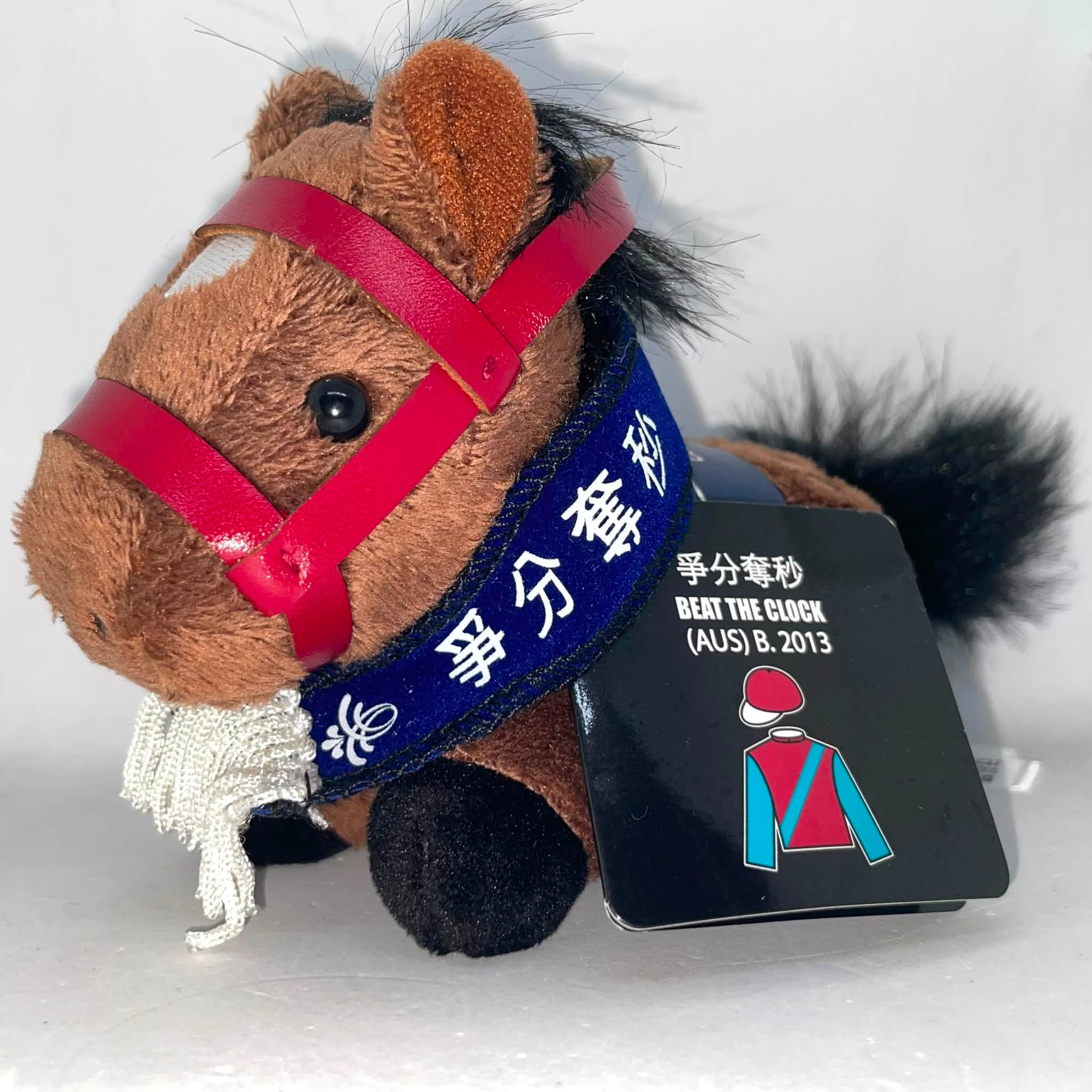 TCC 広報大使」アオラキ マスコット・ぬいぐるみが マスコット ¥2,000