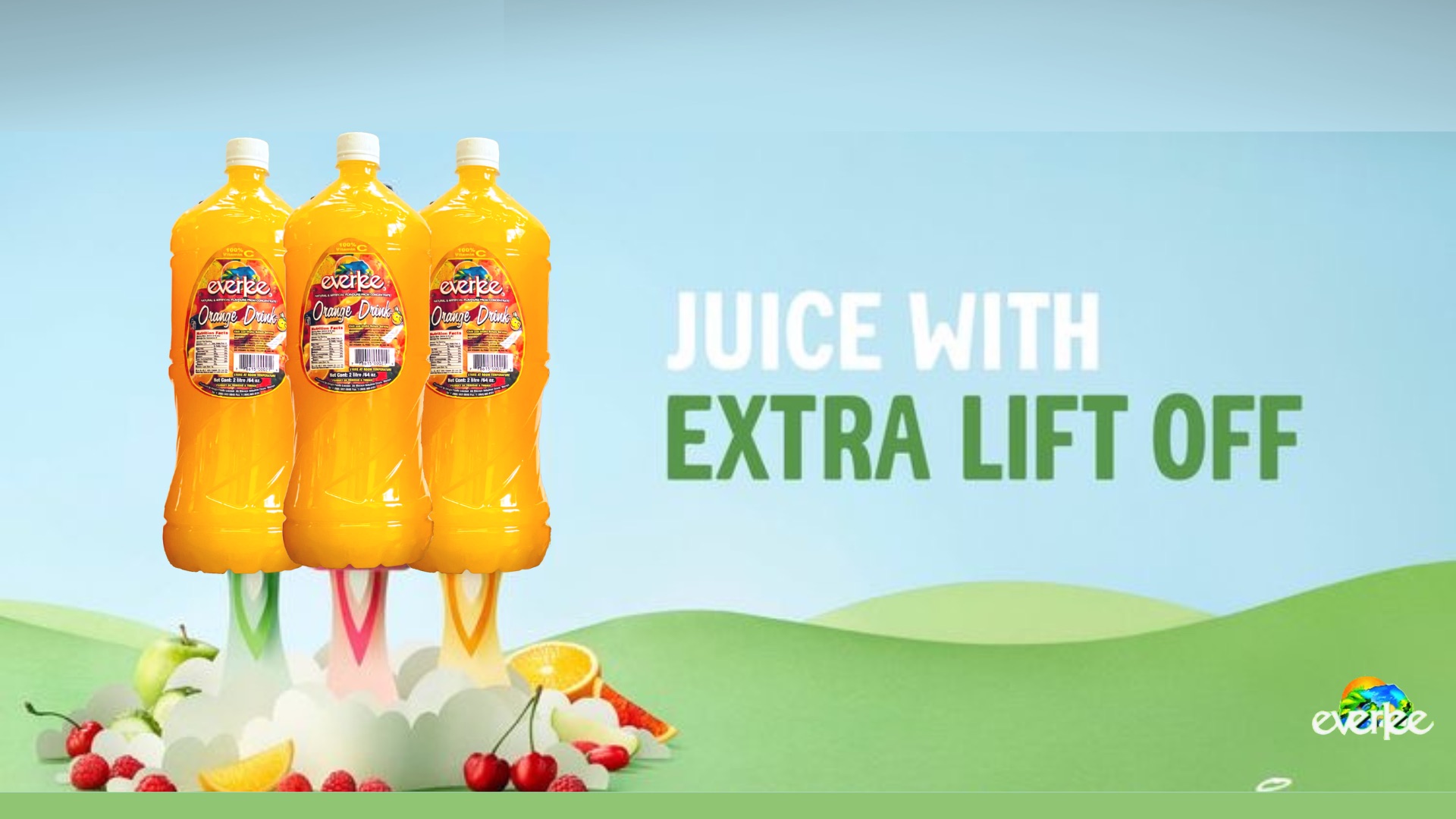 Everlee Fruit Drinks