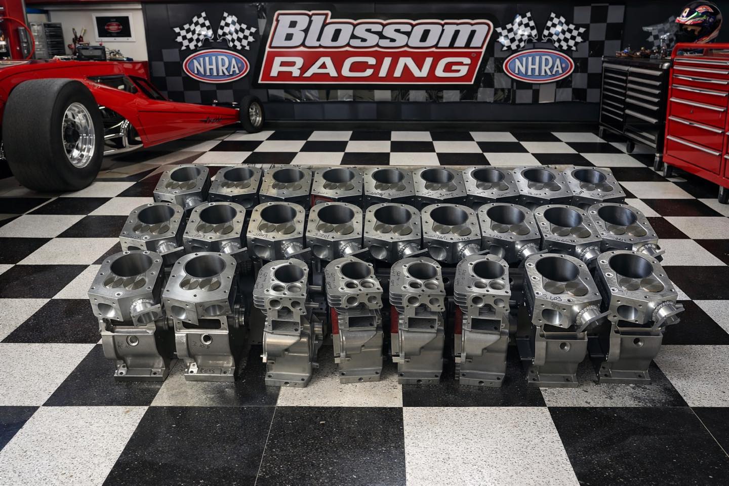 Blossom - This Is What 26 Future Legends Look Like. 26 of 32 brand-new ...