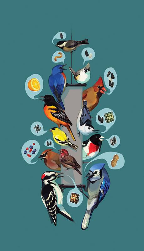 A cheat sheet for bird feeding. - Wild Birds Unlimited