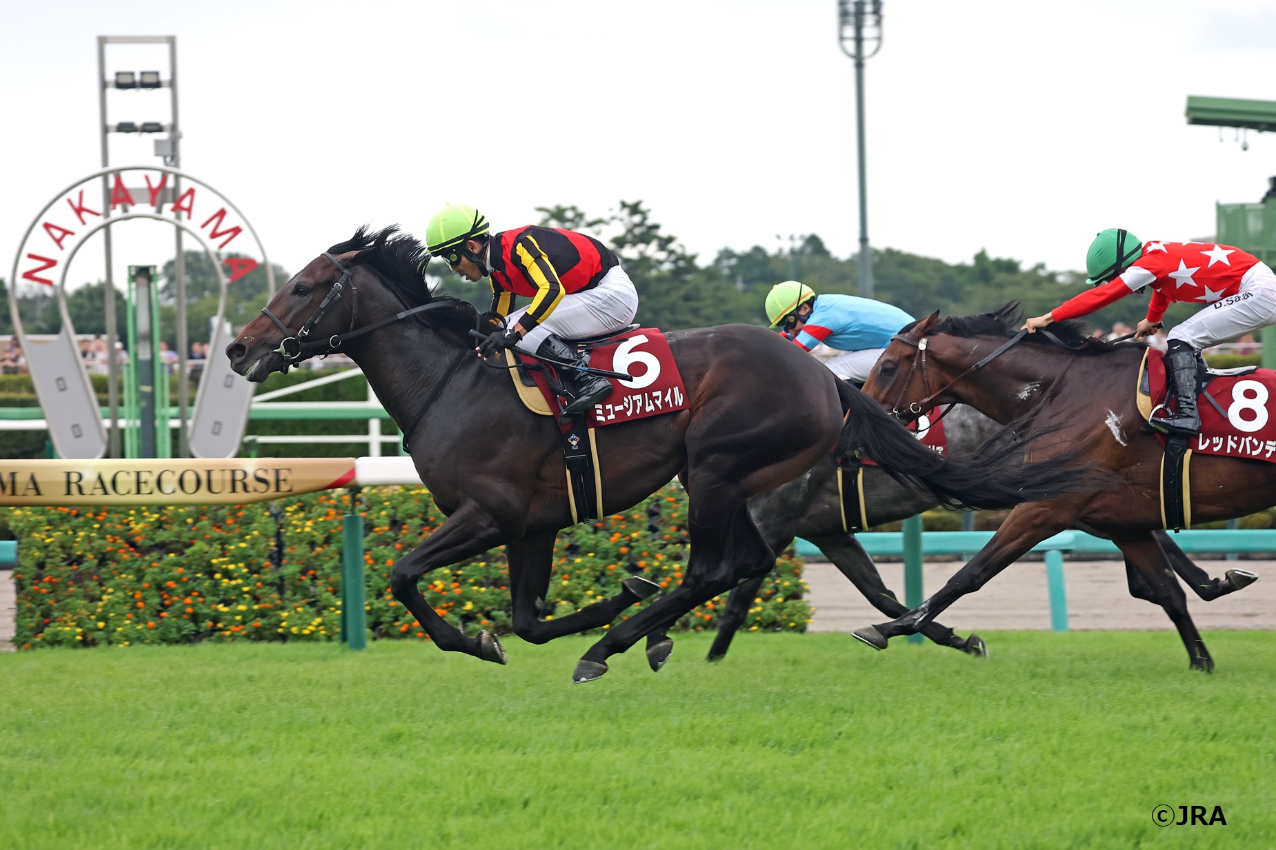 2012年のスプリンターズステークス（GI)を優勝したのはロードカナロア