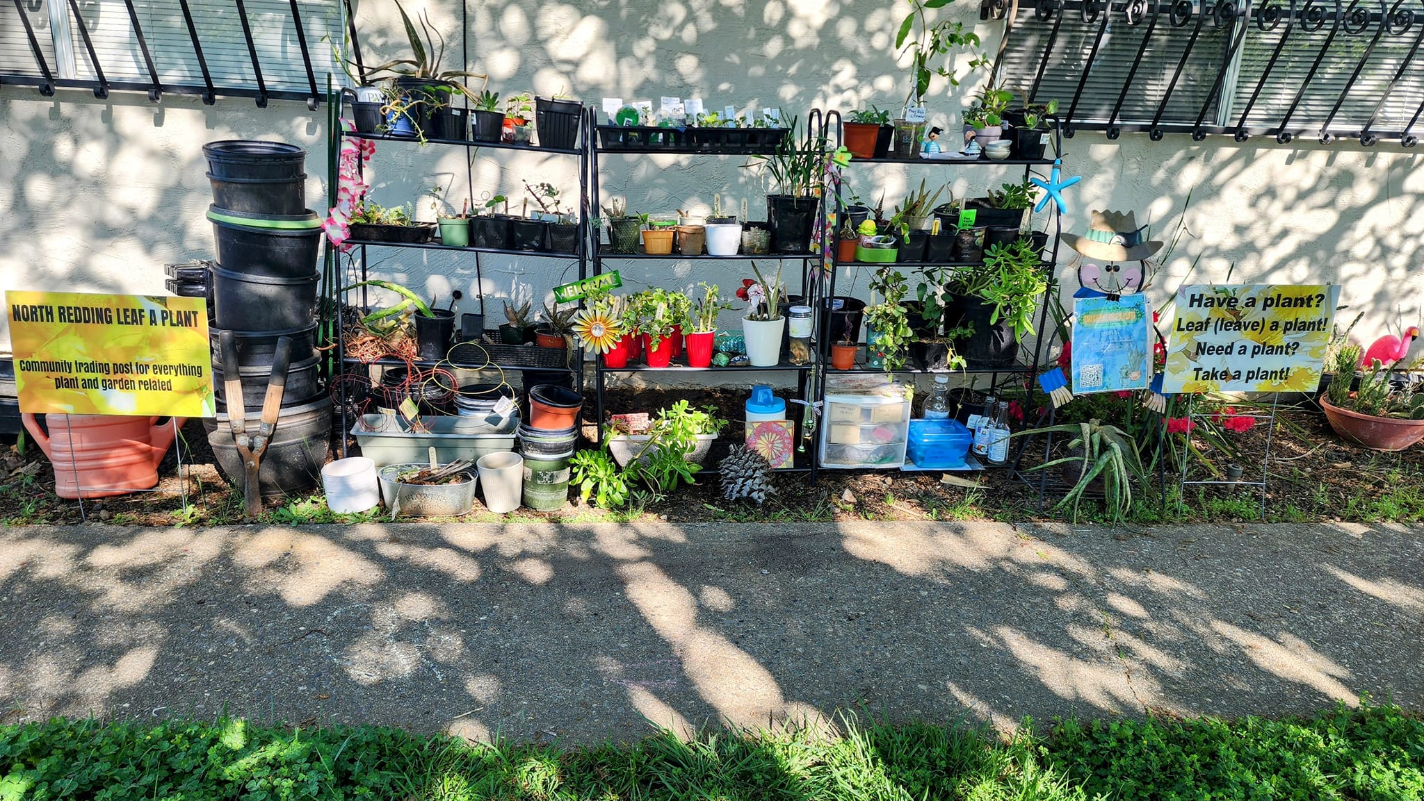 Vegetable starts and plant exchange in Redding, California