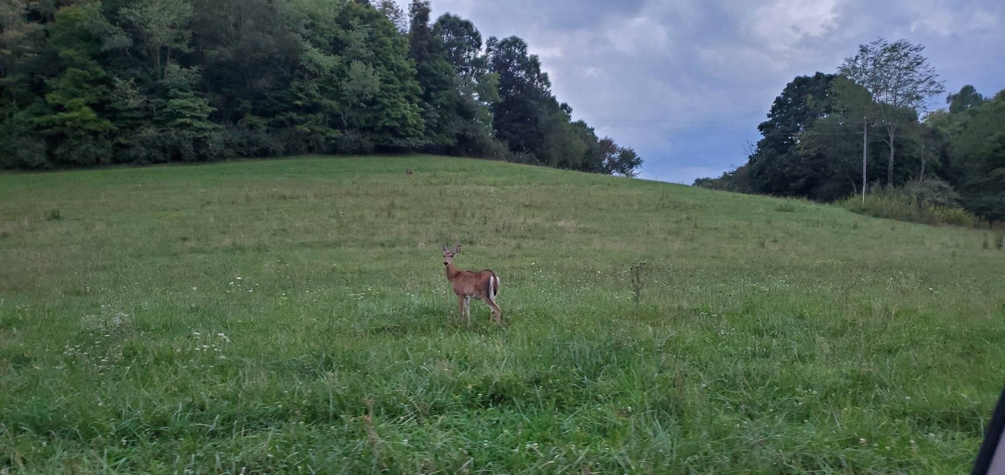 C B Ranch | Lewisburg WV