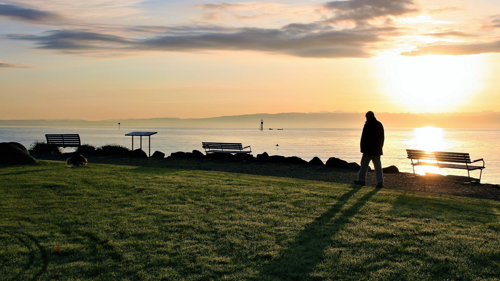 Sanctuary First - The courage to kneel (Psalm 46) Today...