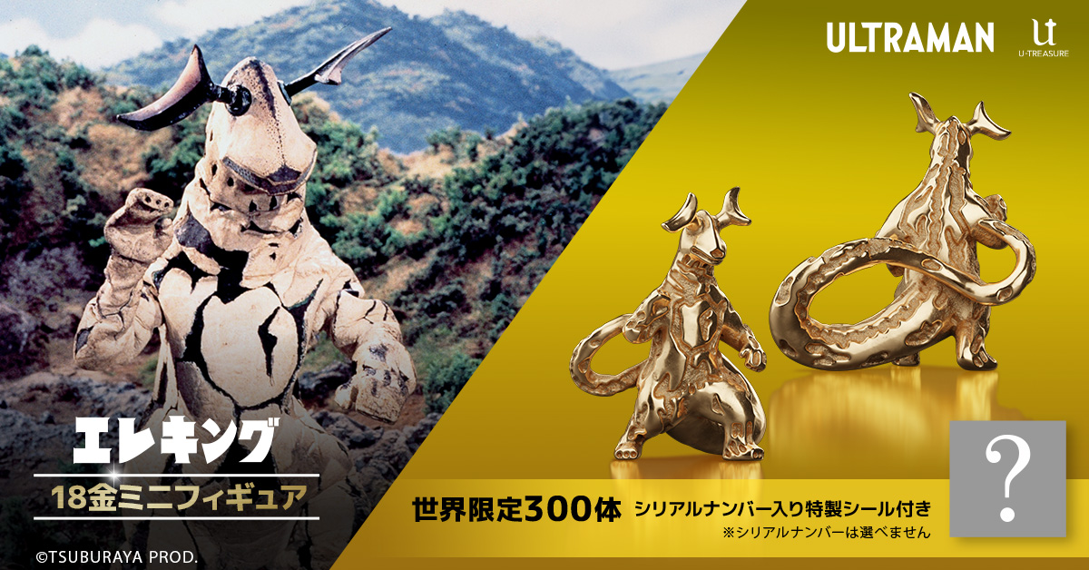 ポケットモンスター】 いなずまネックレスに新たに「キャプテン 
