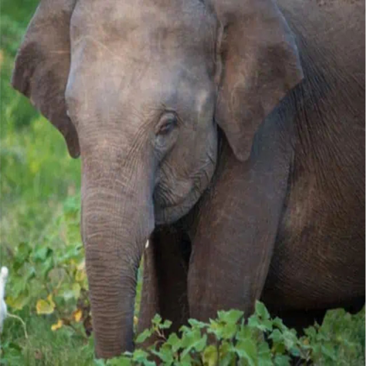 I Love - Uncover the intriguing sleep patterns of wild African ...