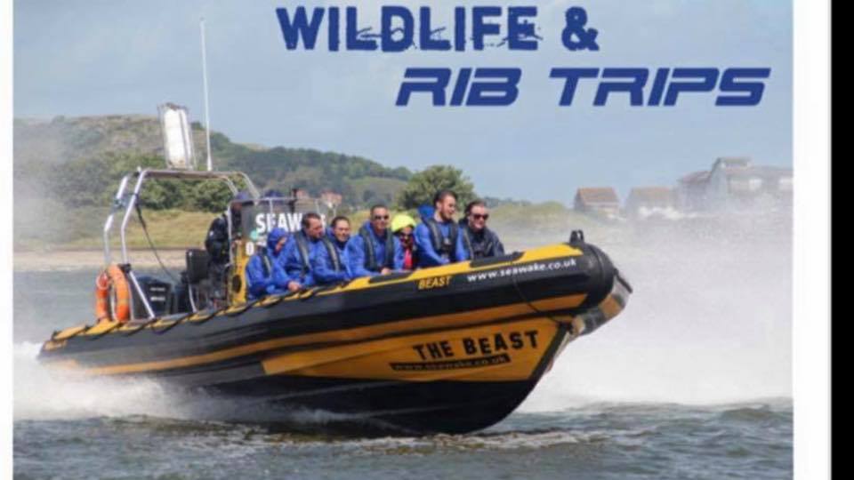 ‘THE BEAST’ is back in action... - Anglesey Boat Trips | Facebook