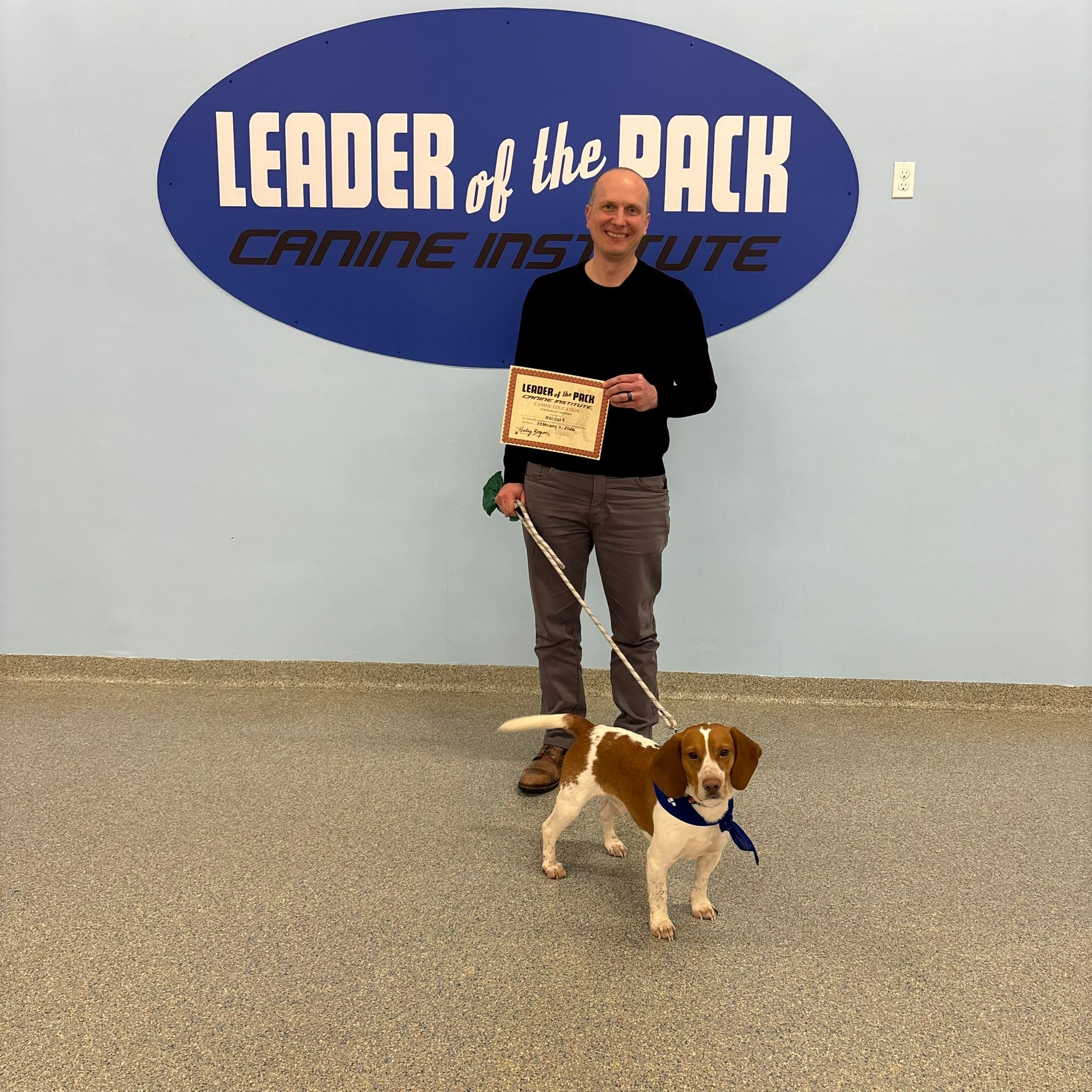 Leader of the Pack... - Leader of the Pack Canine Institute