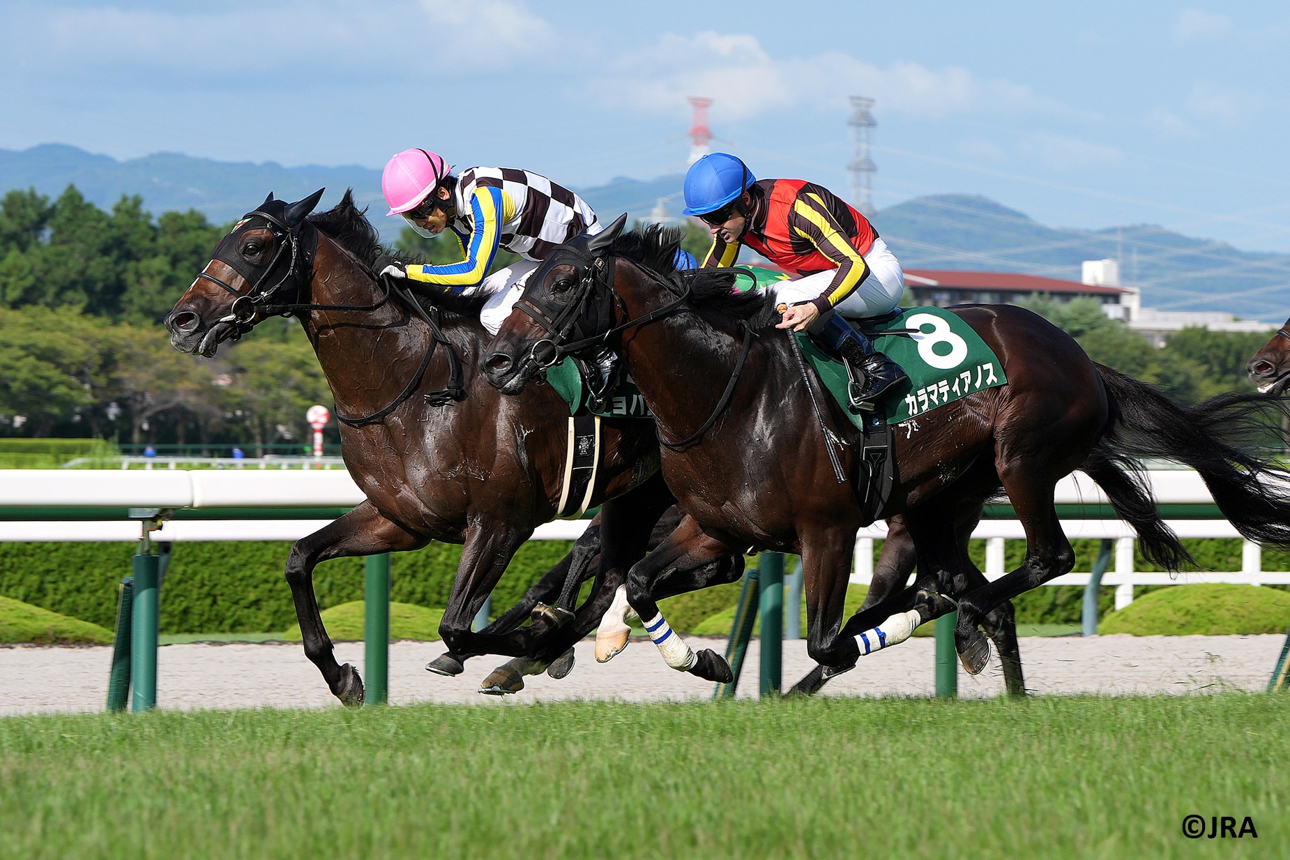 1993年の有馬記念(GI)。1番人気は、3歳クラシック最終戦菊花賞(GI)に